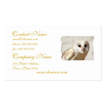 Snowy Barn Owl  Business Cards