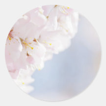Snowy Cherry Blossoms Stickers