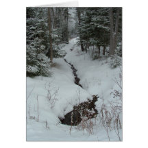 Snowy Creek Cards