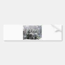 snowy day bumper sticker