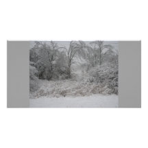 snowy day picture card