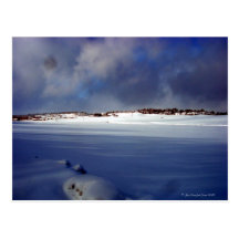 Snowy Day Postcard
