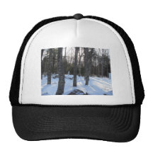 Snowy Day Trucker Hat