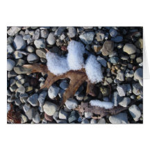 Snowy Leaf Note Card