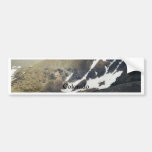 Snowy Mountain in Colorado Bumper Stickers