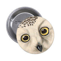 Snowy Owl, John James Audubon Pins