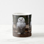 Snowy owl mug