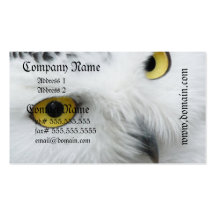 Snowy Owl Photo Business Cards
