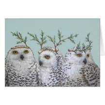 Snowy owls on aqua card