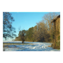 Snowy Path Photo Print