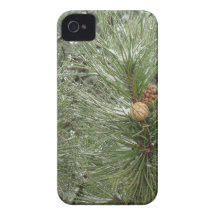 Snowy Pine Cones iPhone 4 Covers