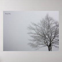 Snowy Tree Poster