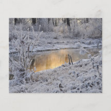 Snowy white winter landscape with light reflect custom flyer