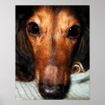 Snuggle Bugs Mackenzie Poster