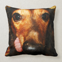 Snuggles Pillow