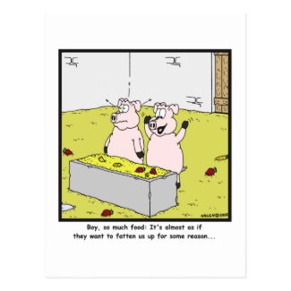 So much food: Pig cartoon Post Card