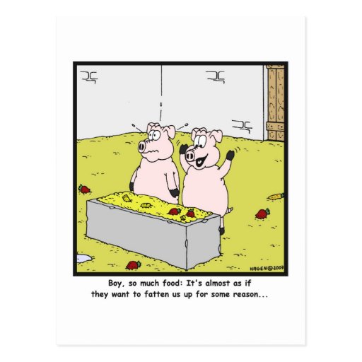 So much food: Pig cartoon Post Card