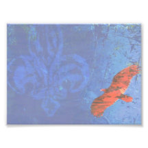 Soar Art Photo