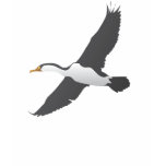 Soaring Shag Tees