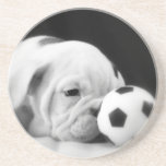 "Soccer Ball Nose" English Bulldog Puppy Beverage Coaster