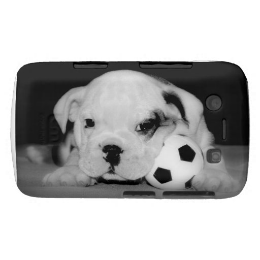 "Soccer Puppy" English Bulldog Blackberry Bold Cover
