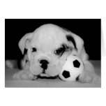 "Soccer Puppy" English Bulldog Greeting Card