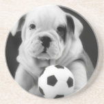 "Soccer Star" English Bulldog Puppy Photography Drink Coaster
