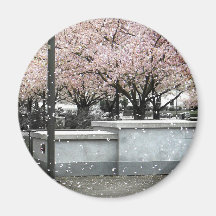 Soft Blossoms Refrigerator Magnet