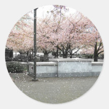 Soft Blossoms Round Stickers
