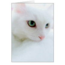 Soft Clouds Greeting Cards
