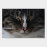 Soft Kitty, Warm Kitty... posters