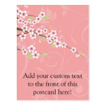 Soft Pink Cherry Blossom postcards