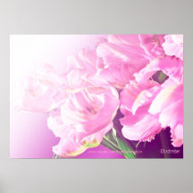 soft pink tulips print