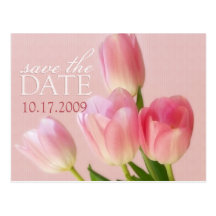 Soft Pink Tulips Save The Date Postcard