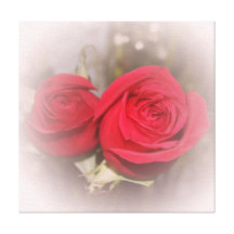 Soft Red Roses in Pink Hue Wrapped Canvas Gallery Wrapped Canvas