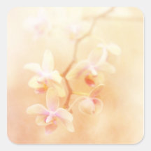 Softly Faded Orchids Sticker