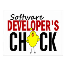Software Developer's Chick Post Cards