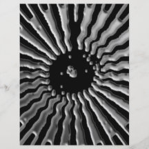 Solar Plexes - Silver Star Flyers