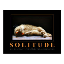 SOLITUDE Cat Photography Anti-Motivational Postcard