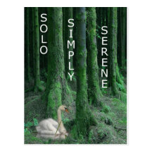 SOLO 12 POST CARDS