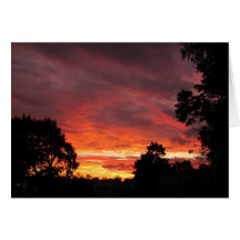 Solstice Sunset ~ card