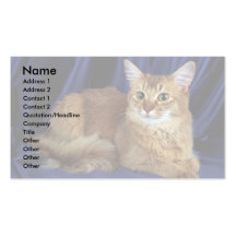 Somali, sorrel business cards