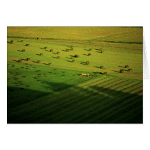 Some of Tim Schell's hay Greeting Cards