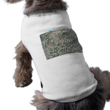 Some weird lichens on a rock dog tee shirt