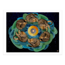 Somersaulting Universe (Cosmic Cats) Postcard