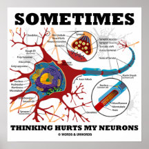 Sometimes Thinking Hurts My Neurons Print