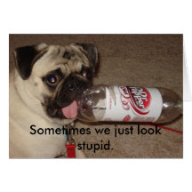 Sometimes we just look stupid greeting card