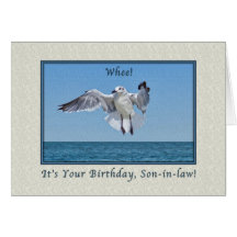 Son-in-law's Laughing Gull Bird Birthday Card