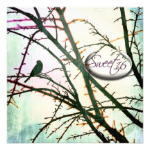 Song of Hope Sweet Sixteen Party Invitations