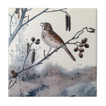 Song Sparrows in the Spring Tiles